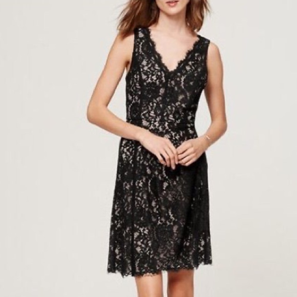 Loft‎ Black Lace Mini Dress